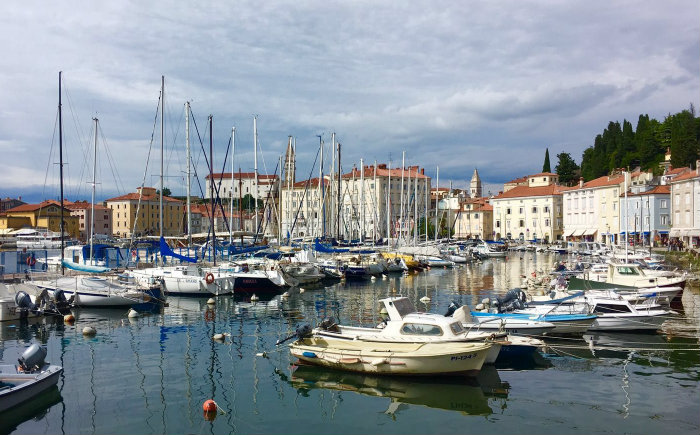 Piran Hafen &copy; Alexandra Eisler