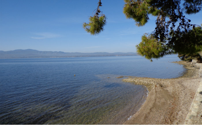 Badebucht bei Eretria &copy; Alexandra Eisler