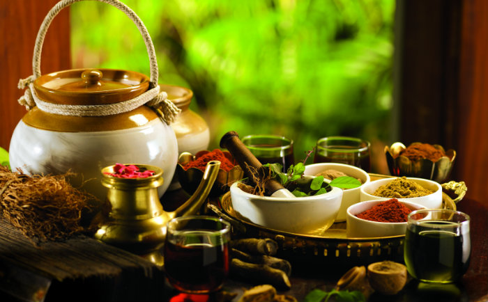 Ayurveda Heilkräuter &copy; Department of Tourism, Government of Kerala