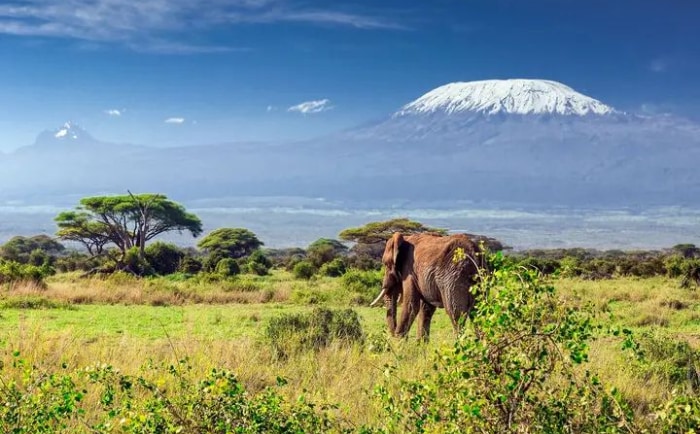 Der 5.895 Meter hohe Kilimandscharo. &copy; Air France