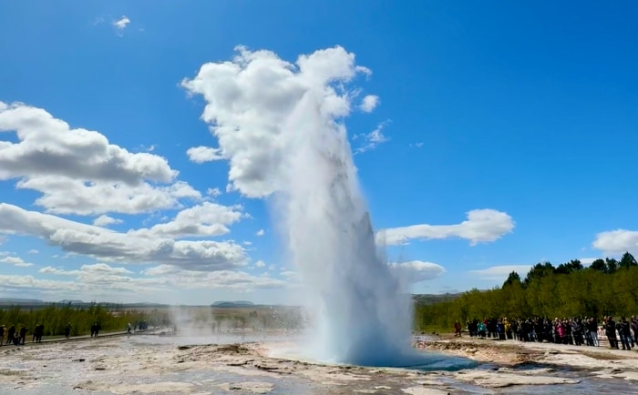 Das Naturschauspiel eines Geysirs in Island. &copy; ReiseInsider