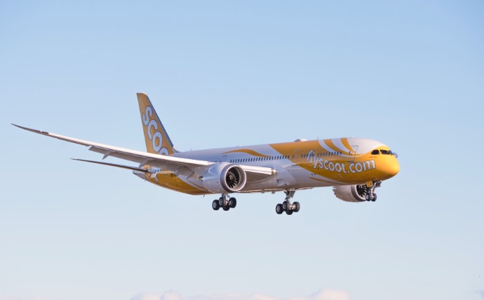 Auffallende gelbe Bemalung einer Scoot Boeing 787. &copy; Scoot