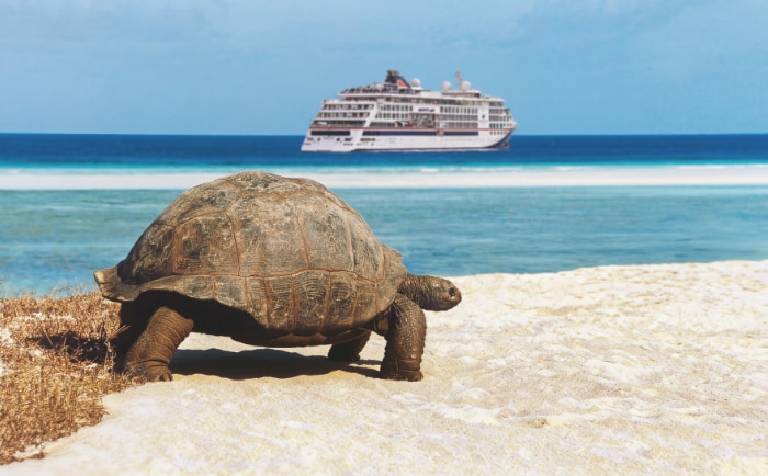 Tropischer Zaungast mit einem Hanseatic-Schiff. © Hapag-Lloyd Cruises Tropischer Zaungast mit einem Hanseatic-Schiff. © Hapag-Lloyd Cruises
