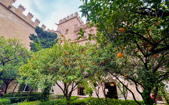 Orangenbäume im Hof der Seidenbörse. &copy; ReiseInsider