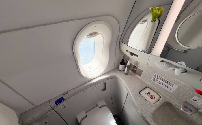 "A Loo with a View" in der Boeing 787. © ReiseInsider "A Loo with a View" in der Boeing 787. © ReiseInsider